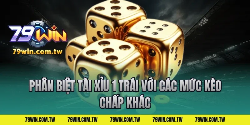 Phân Biệt Tài Xỉu 1 Trái Với Các Mức Kèo Chấp Khác